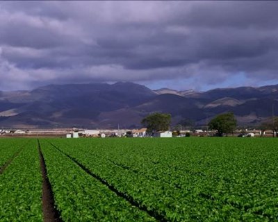 Agricultura: cortes de água chegam ao «coração» da Califórnia