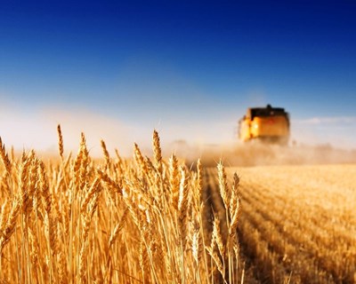 Agricultura: estudo mostra projeções para os próximos 15/20 anos