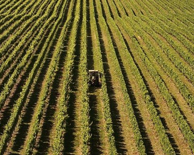 Agricultura: O setor que nunca desiste