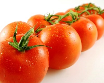 Agroalimentar regressa à região Norte na Exponor