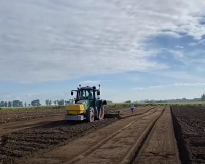 Agroglobal: Fresh 52, o megaprojeto de produção de cenoura presente no evento