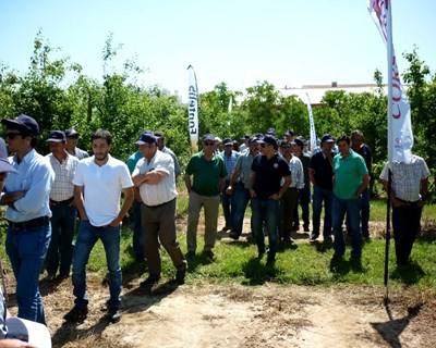 Alcobaça recebeu dia de campo dedicado à fruticultura da região Oeste