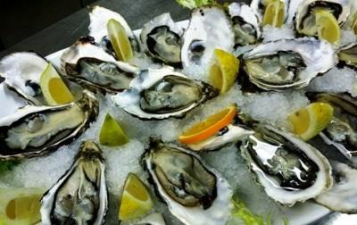 Algarve: impostos e burocracia travam expansão da produção de ostras