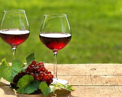 Algarve recebe pela primeira vez o "Adegga WineMarket"