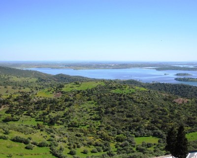 Alqueva «já não é apenas olival e vinha, há frutas e hortícolas»