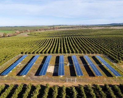 Alter do Chão debate irrigação fotovoltaica de alta potência