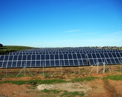 Alter do Chão debate soluções de irrigação fotovoltaica de alta potência