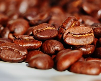 Alterações climáticas ameaçam produção mundial de café