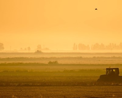 Alterações climáticas em destaque na Ovibeja 2019