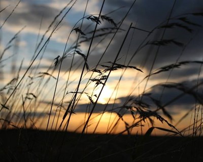 Alterações climáticas, recursos alimentares e infraestruturas verdes em debate