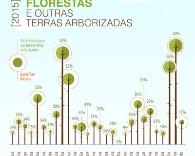 Alterações climáticas: Usar as florestas para compensar as emissões de carbono