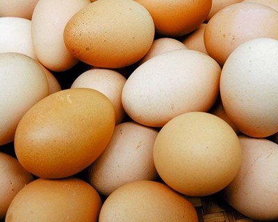Angola destrói 11 milhões de ovos importados ilegalmente