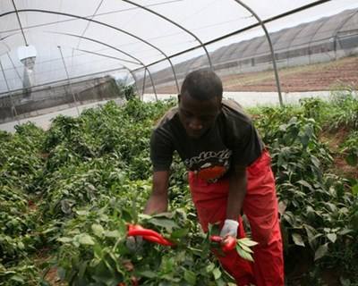 Angola e Itália assinam acordos de apoio à agricultura