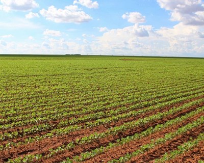 ANIPLA defende que "a sustentabilidade da produção agrícola e da alimentação depende de todos nós"