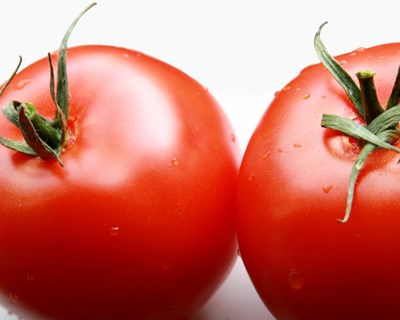 Antuérpia discute em abril de 2016 as tendências do tomate rumo a 2020