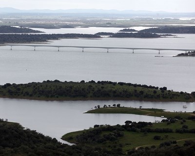 Anuário Agrícola de Alqueva 2020 já está disponível