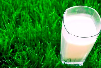 APED e ALIP unidas no apelo ao consumo de leite