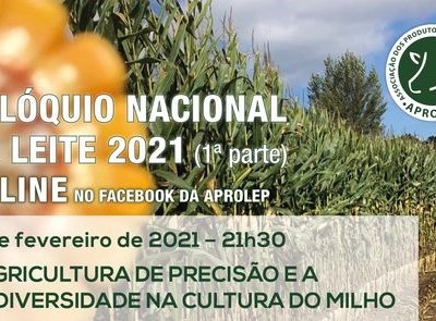 APROLEP promove Colóquio Nacional do Leite 2021 com foco na cultura do Milho