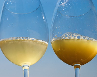 ASAE apreendeu 17 000 litros de mosto branco na região dos vinhos verdes