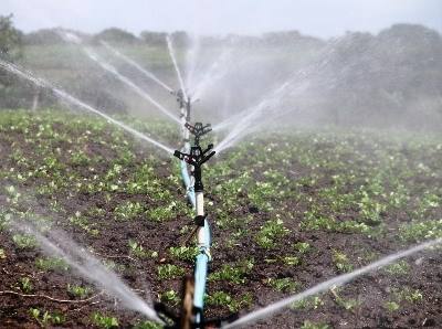 Assunção Cristas saúda procura de soluções para uso eficiente da água na agricultura