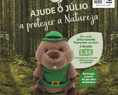 Auchan e Júlio unidos em campanha solidária com a ANP|WWF