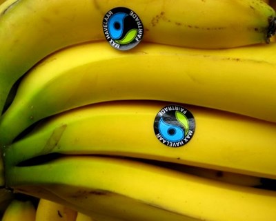 Banana orgânica produzida no Peru conquista União Europeia