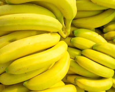 Bananas estão em perigo e a salvação pode estar em apenas cinco árvores
