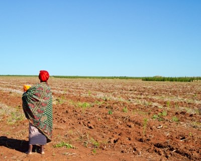 Banco Mundial disponibiliza mais 50 milhões de dólares para a agricultura em Moçambique