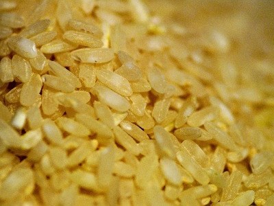 Bangladesh: testado arroz enriquecido para combater a subnutrição
