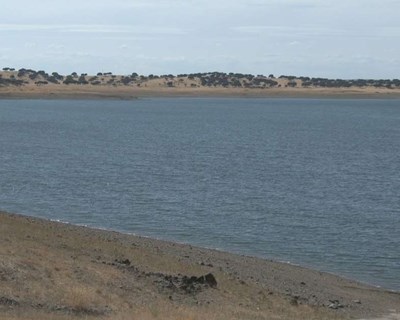 Barragem do Caia fica sem água para agricultura