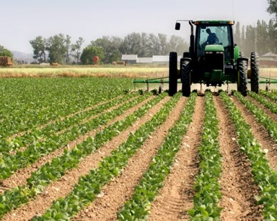 Bruxelas avança com normas mais simples para apoiar agricultores