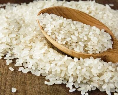 Bruxelas classifica arroz do Baixo Mondego como Indicação Geográfica Protegida