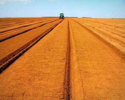 Bruxelas debate agricultura digital e cadeias de valor alimentar