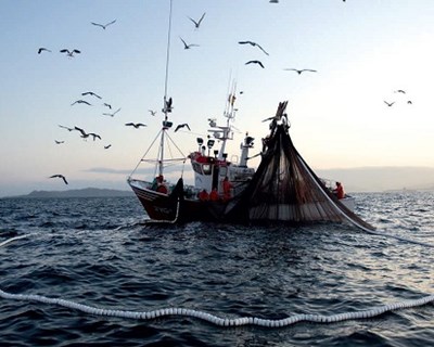 Bruxelas lança consulta pública para fixar pescas para 2019