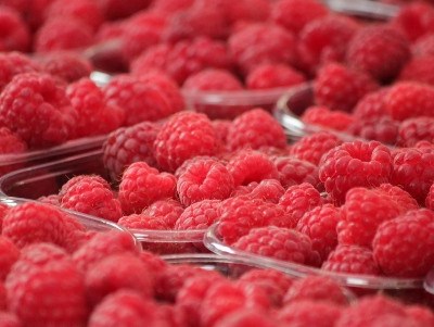 Bruxelas prolonga oficialmente programa de apoio às frutas e legumes