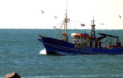 Bruxelas propõe oportunidades de pesca no Báltico para 2017