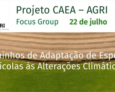 CAEA-AGRI realiza reunião de grupo focal
