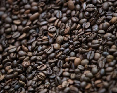 Café mundial está a perder resistência à doença da ferrugem