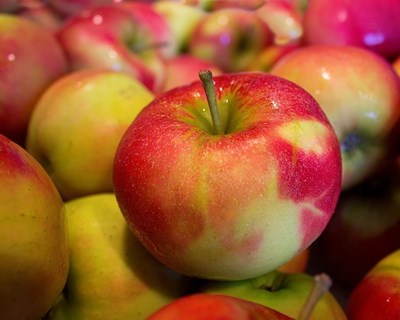 Caldas da Rainha recebe em agosto Feira Nacional de Hortofruticultura