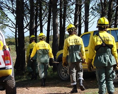 Câmara de Arcos de Valdevez renova protocolos com sapadores florestais