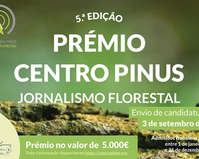Prémio Centro Pinus de jornalismo florestal ainda tem candidaturas abertas
