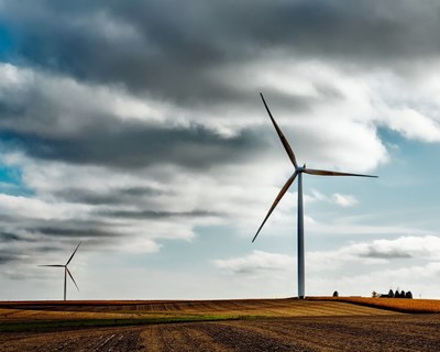 CAP organiza webinar sobre a utilização de energia renovável no setor agrícola