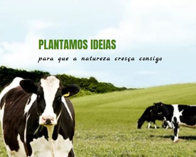 Carlos Neves é candidato à presidência da Cooperativa Agrícola de Vila do Conde