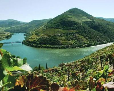 CCDR-N leva boas práticas vitivinícolas do Alto Douro Vinhateiro à Expo 2015