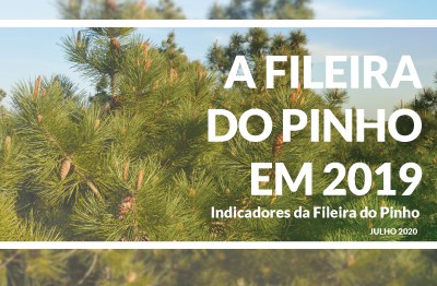 Centro PINUS disponibiliza publicação sobre a Fileira do Pinho em 2019
