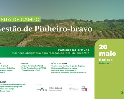 Centro PINUS promove nova visita de campo sobre "Gestão de Pinheiro-bravo"