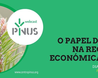 Centro PINUS promove reflexão sobre a importância da Floresta na recuperação económica nacional