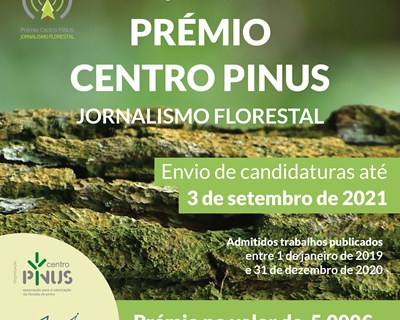 Centro Pinus volta a distinguir jornalismo florestal, atribuindo 5000 € à obra vencedora