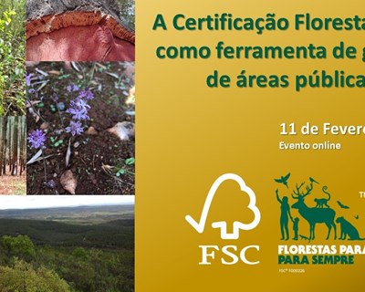 Certificação florestal FSC® como ferramenta de gestão de áreas públicas