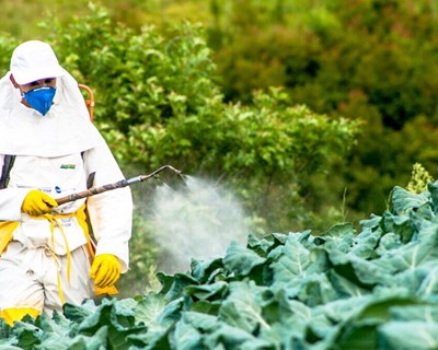 CESE apoia soluções com vista a reduzir risco do uso de pesticidas